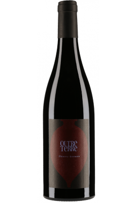 Domaine des Roches Neuves - Thierry Germain - Saumur-Champigny - Outre Terre - 2017