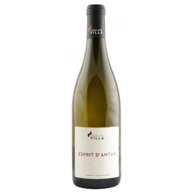 Domaine Pierre-Jean Villa - IGP des Collines Rhodaniennes - Esprit d'Antan - Blanc - 2017