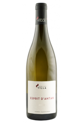 Domaine Pierre-Jean Villa - IGP des Collines Rhodaniennes - Esprit d'Antan - Blanc 