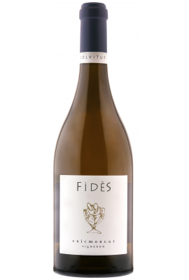 Domaine Eric Morgat - Savennières - Fides - 2015