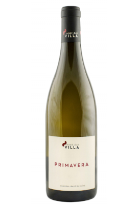 Domaine Pierre-Jean Villa - IGP des Collines Rhodaniennes - Viognier - Primavera