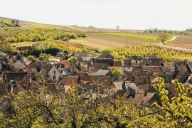 Mazoyères-Chambertin 